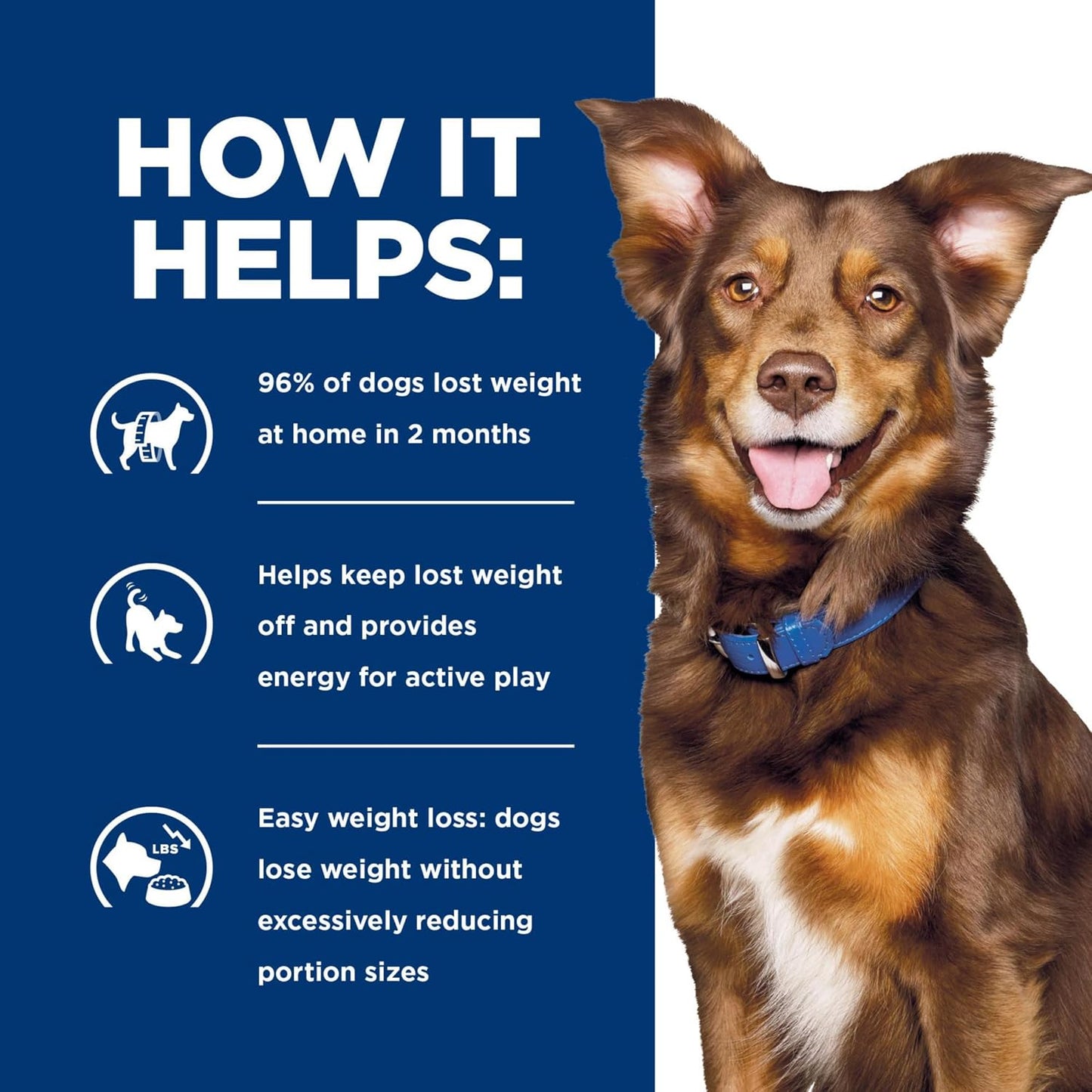 Hill's Prescription Diet S plus OXSHIELD dog food bag close up
