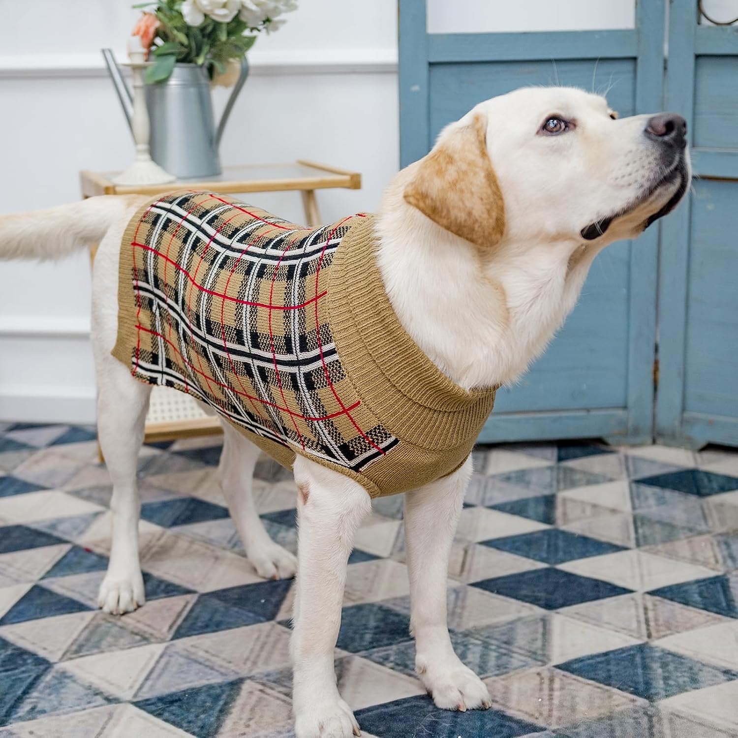 PUPTECK durable warm pet coat on a large dog outdoor winter walk