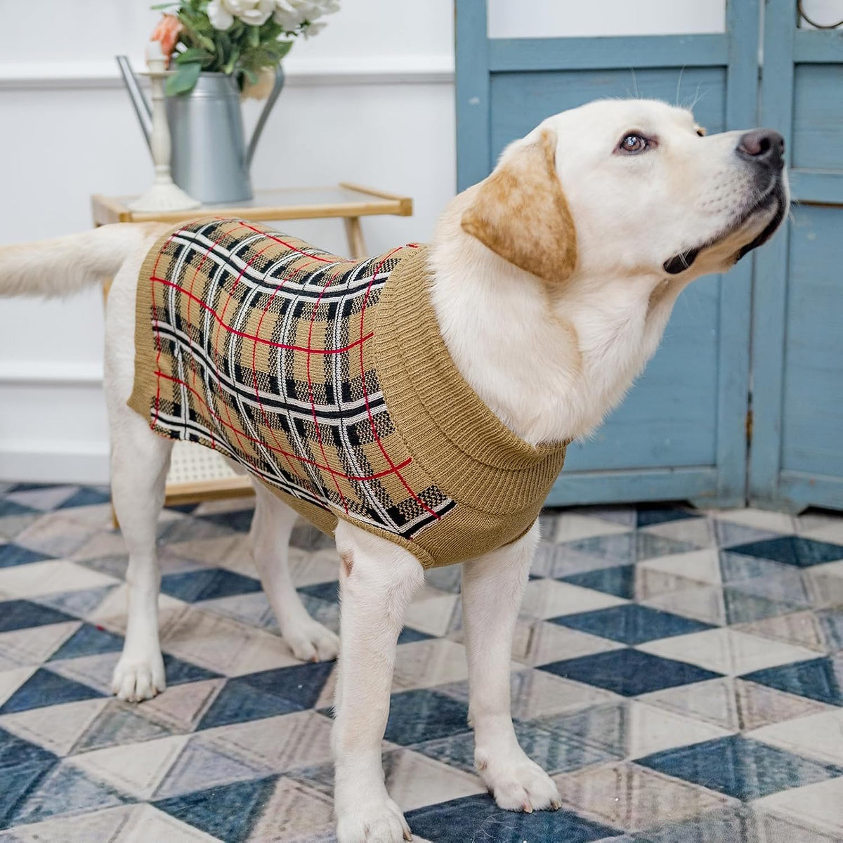 PUPTECK durable warm pet coat on a large dog outdoor winter walk