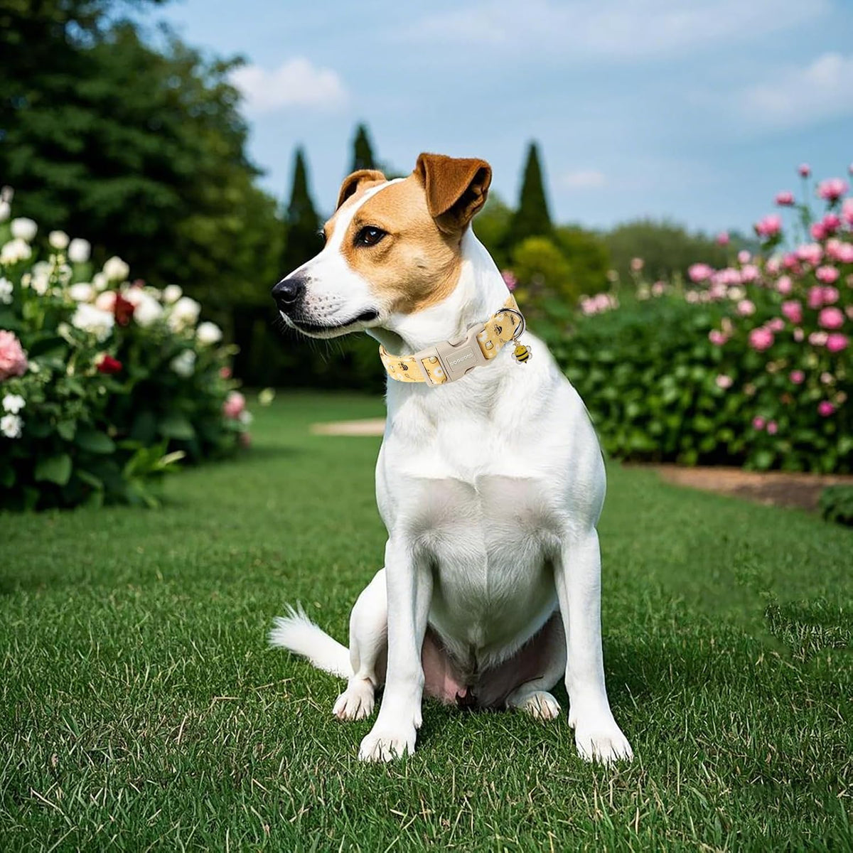 Spring theme yellow bee dog collar flat lay