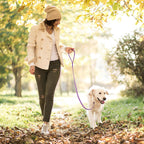 Amethyst purple slip lead for small medium and large dog training control