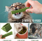 Cat dental care treats displayed next to real catnip toys.