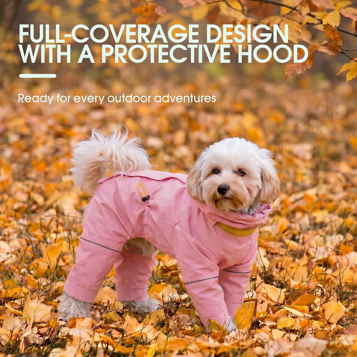 Breathable windproof pet apparel for monsoon season walking