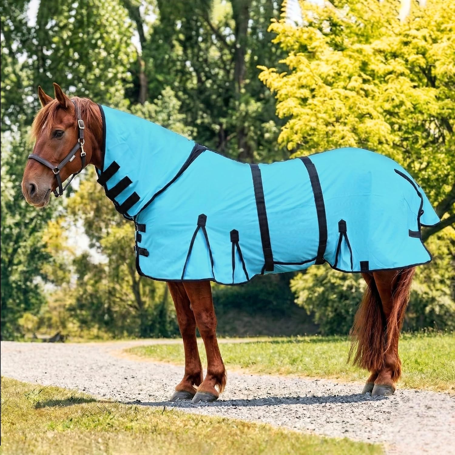 Horse Fly Sheet with Attached Neck Cover & Tail Flap | UV Protection Mesh Horse Blanket, Full Body Bug & Sun Shield, Adjustable Buckles, Belly Wrap & Gussets for Spring Summer Riding Rug - Image 9