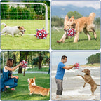 Diman dog toy ball floating on water