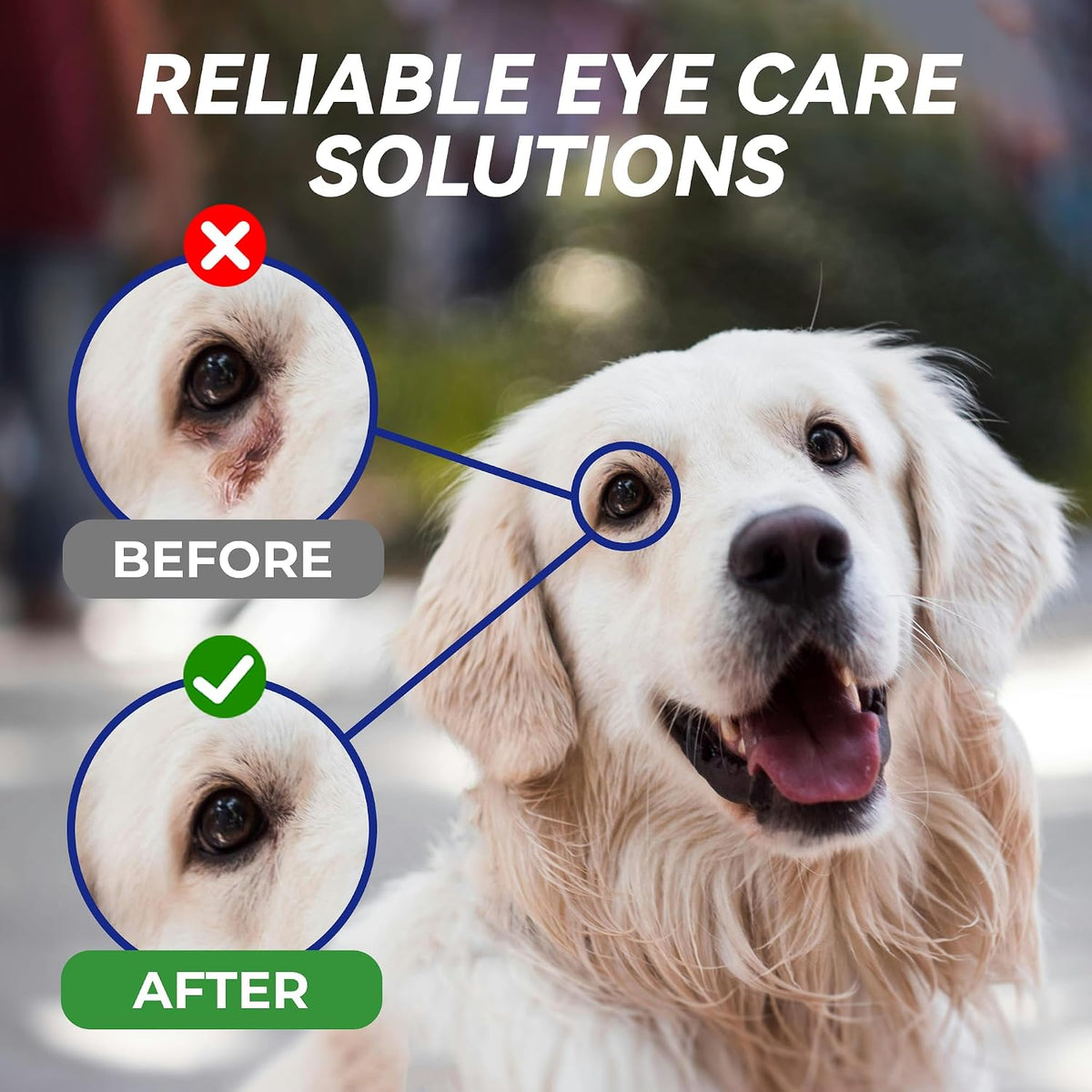Wellix pet care eye drops for reducing redness and irritation in cats