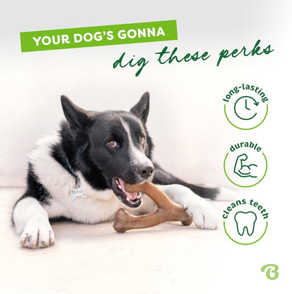 Benebone 3-Pack Wishbone Durable Dog Chew Toy for Aggressive Chewers, Variety Pack-Bacon, Chicken, Peanut Made in USA, Medium - Image 3