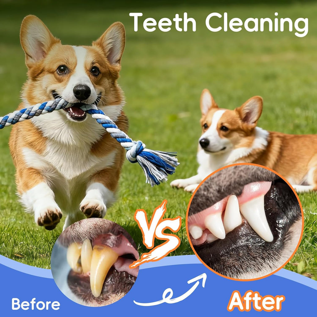 Wodoca four pack small dog chewing rope toys highlighting different textures and shapes