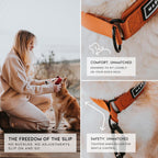 Premium imported dog collar laid flat illustrating the escape proof loop design.
