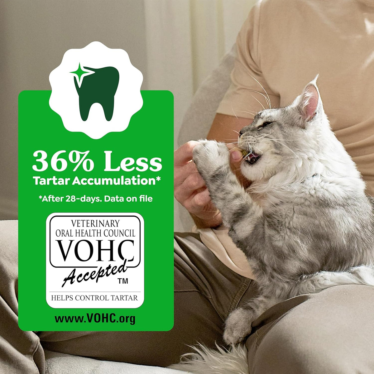 Nutritional information and vet recommendation seal on Greenies cat treats tub