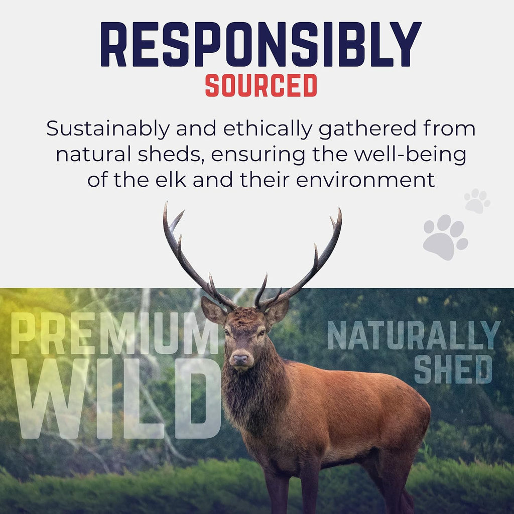 Odor free and mess free natural elk antler for anxiety relief long lasting pet toy alternative