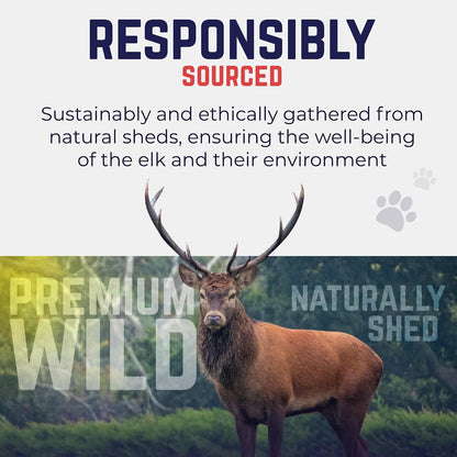 Odor free and mess free natural elk antler for anxiety relief long lasting pet toy alternative