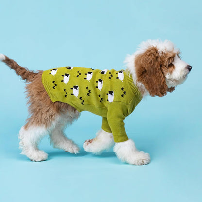 Fitwarm small dog holiday clothes being worn by a small dog model