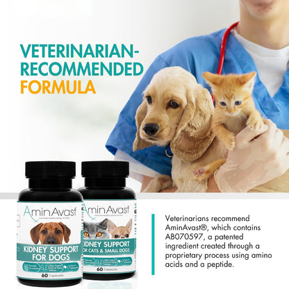 AminAvast Small Dogs & Cat Kidney Support - Promotes Healthy Kidney Support in Cats & Small Dogs - 300mg, 60 Capsule - Image 8