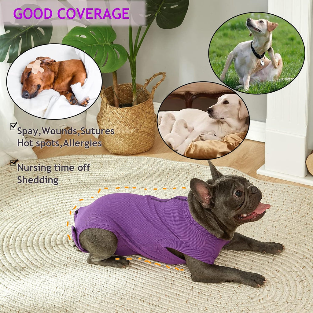 Wabdhaly dog cone alternative surgical onesie showing back zipper detail