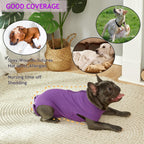 Wabdhaly dog cone alternative surgical onesie showing back zipper detail