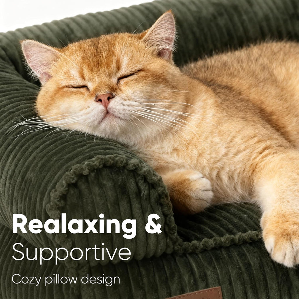 FUKUMARU orthopedic cat bed showing the supportive elevated bolster armrests