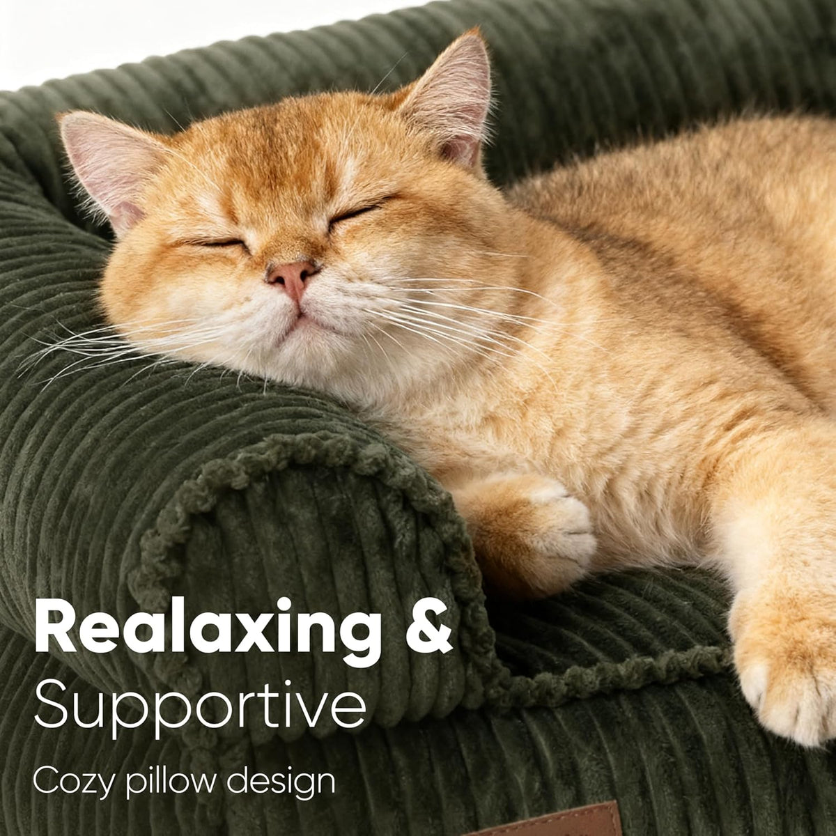 FUKUMARU orthopedic cat bed showing the supportive elevated bolster armrests