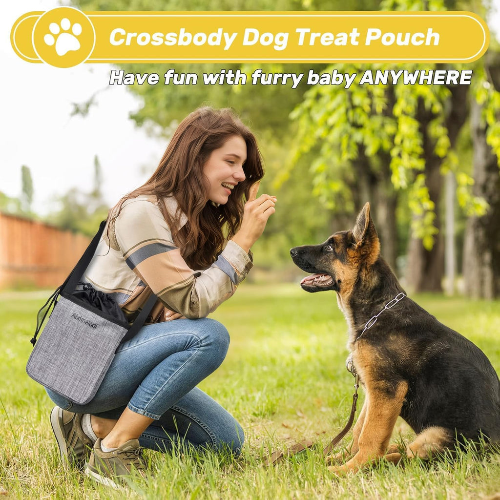 Abrimelodi grey weekend overnight pet bag with luggage sleeve attachment