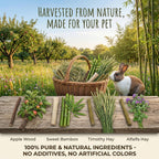 Assorted natural molar sticks for small pets