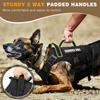 Interchangeable hook and loop pet patches attached to black service dog vest