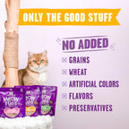Premium natural kitten and adult cat treats for gut health