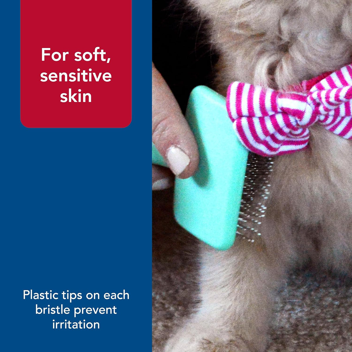 Coastal Pet slicker brush for shedding displayed with packaging