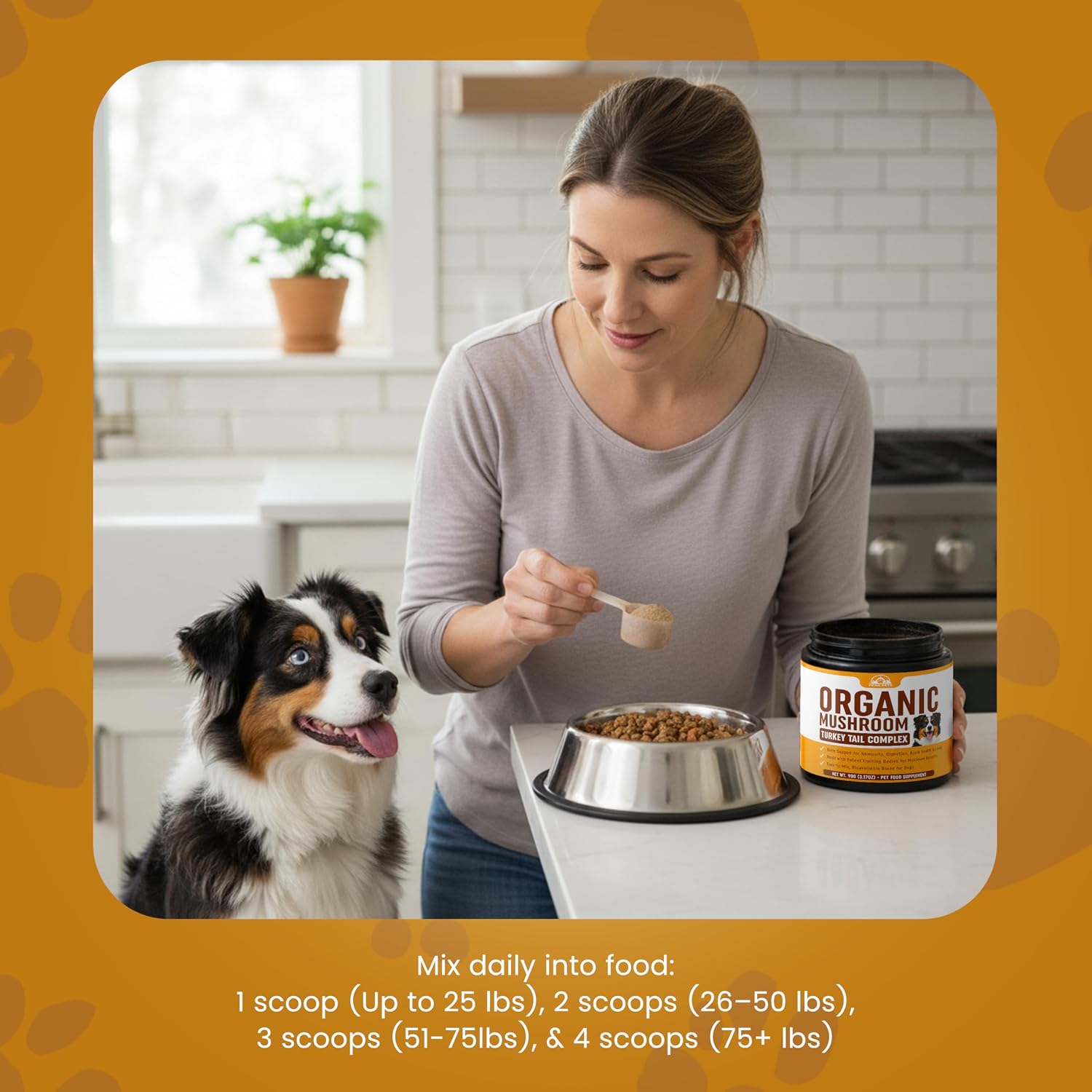 Holistic veterinary care mushroom blend packaging showing ninety grams product weight.