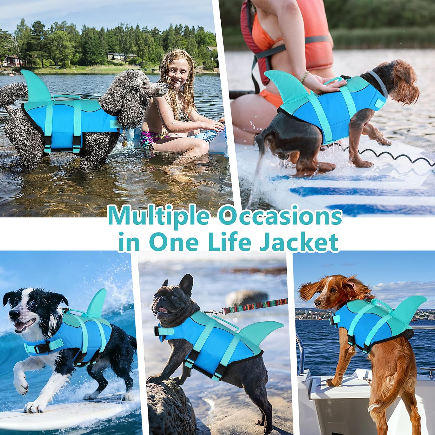 Dogcheer pool blue pet flotation vest with metal leash attachment D ring