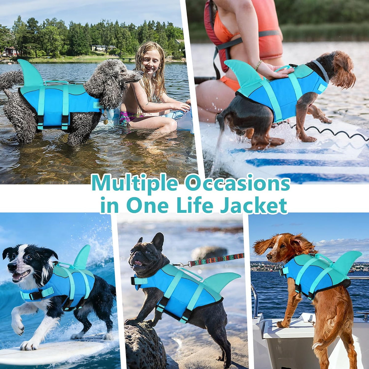Dogcheer pool blue pet flotation vest with metal leash attachment D ring