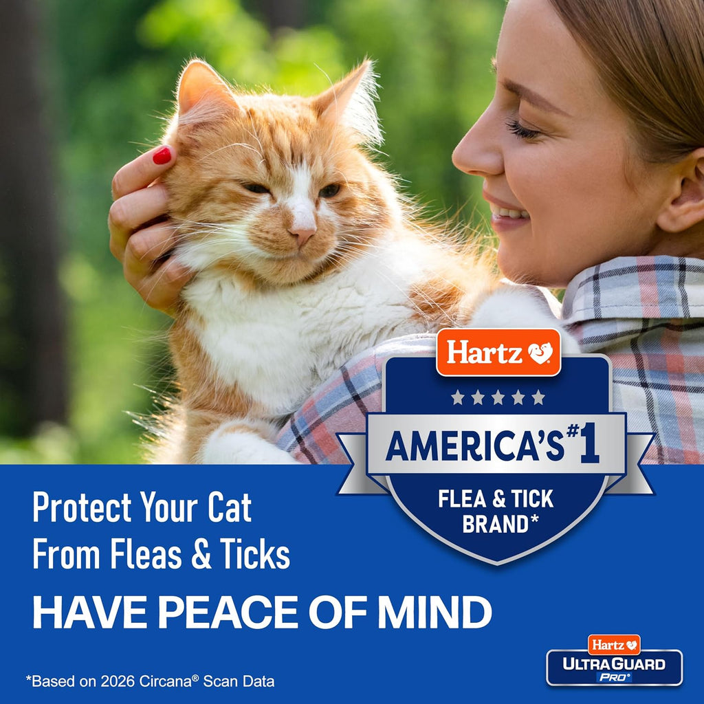 Hartz imported flea and tick protection collar for kittens unboxing