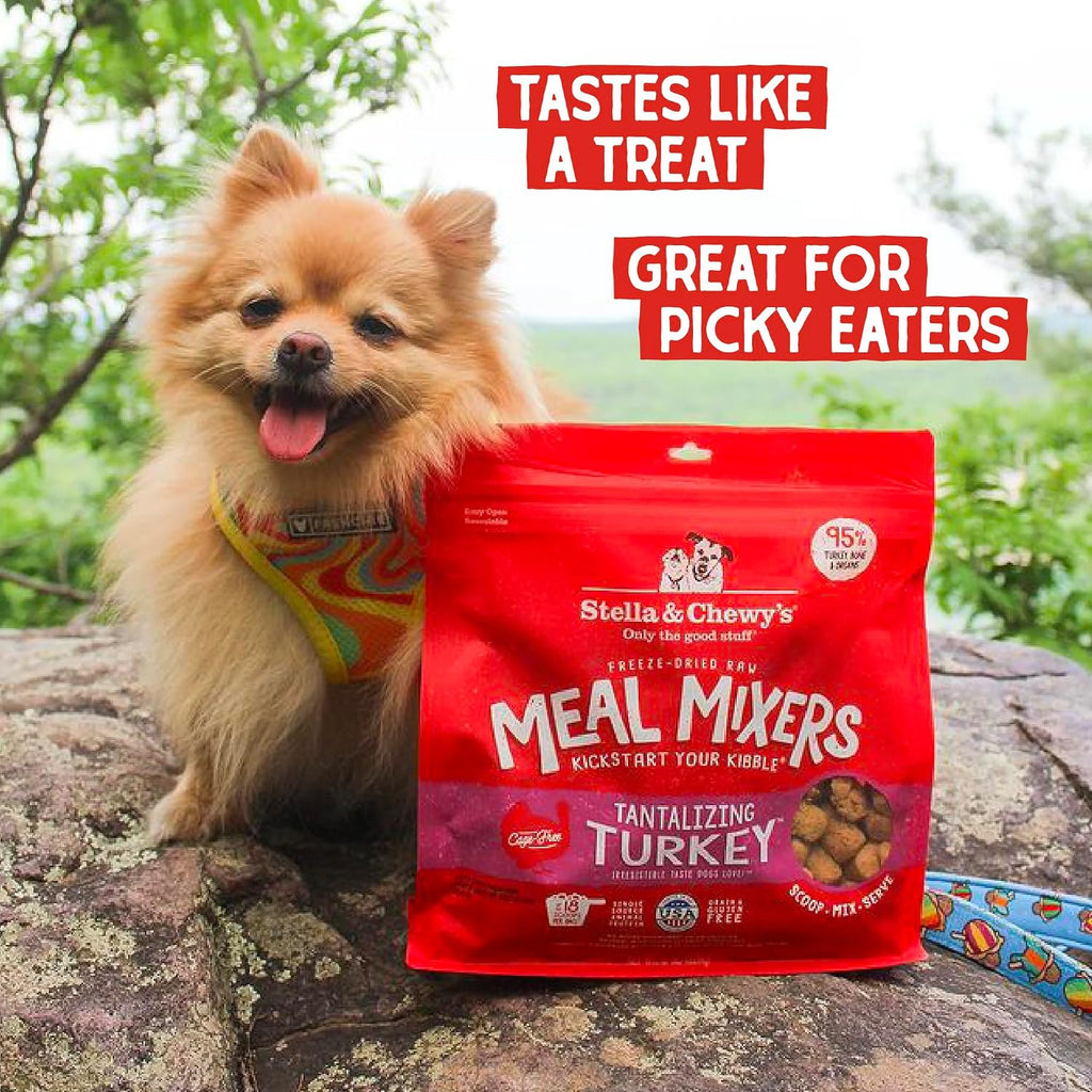 Stella and Chewy's pet food packaging displaying cage free turkey ingredient details