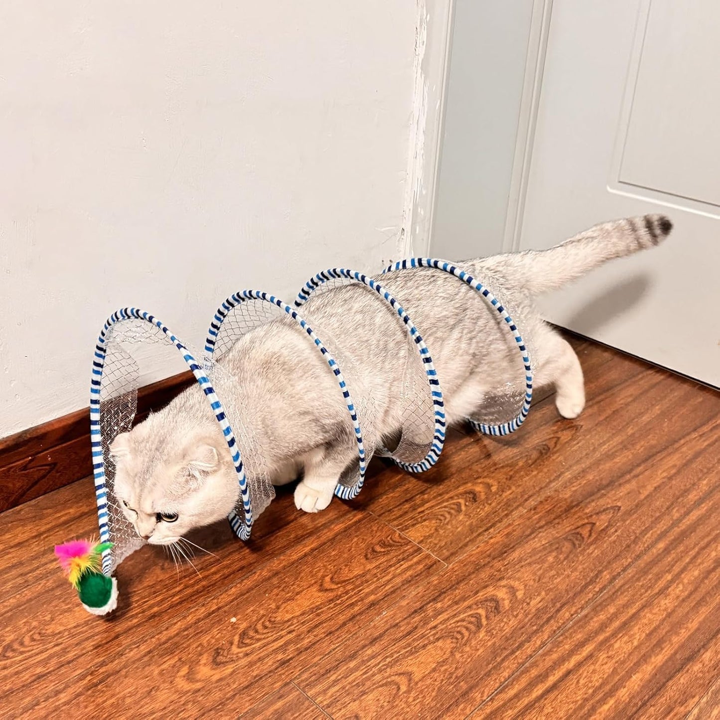 Two-pack large cat tunnels set up for outdoor backyard kitten entertainment