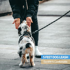 BAAPET night safety dog lead showing highly reflective threads in low light