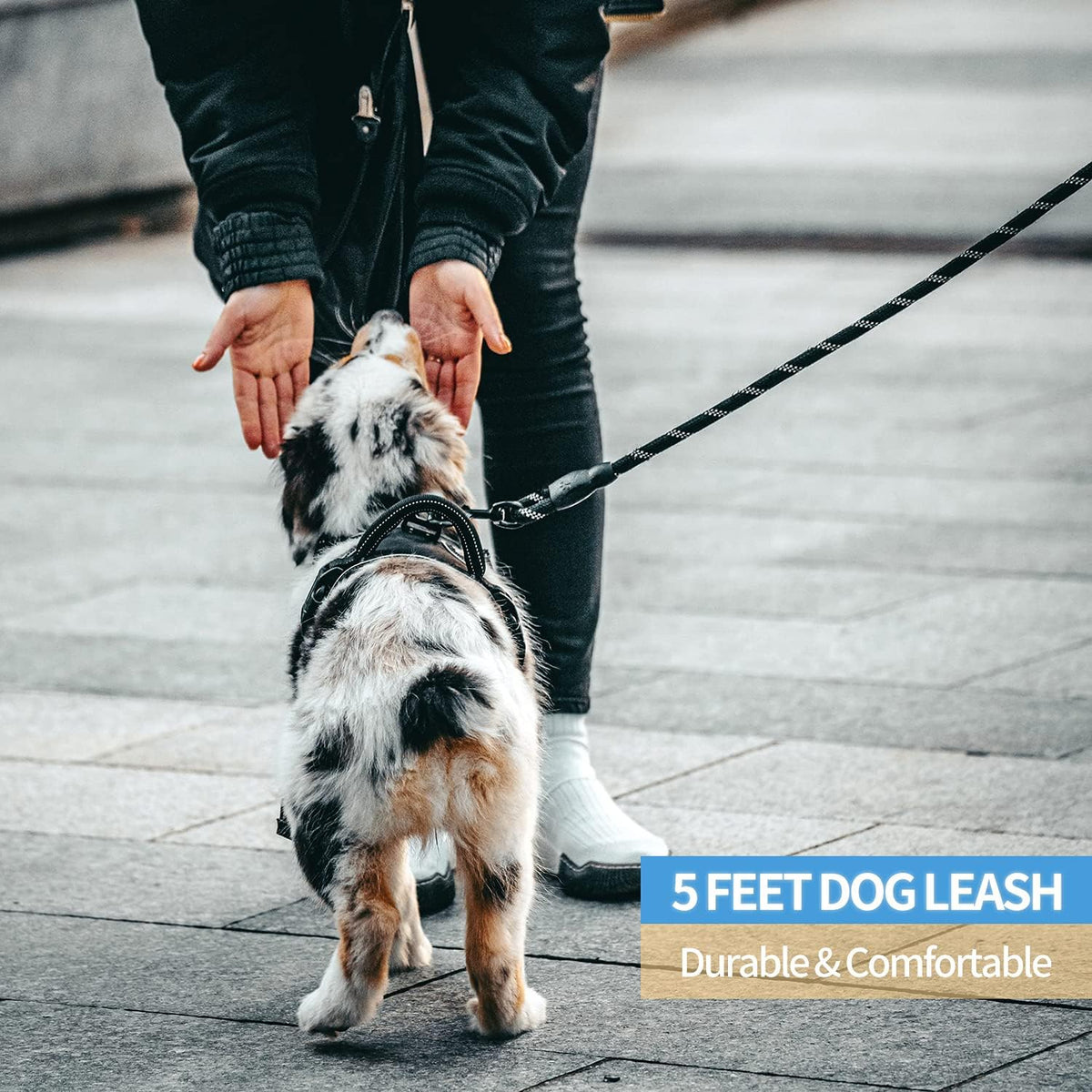 BAAPET night safety dog lead showing highly reflective threads in low light