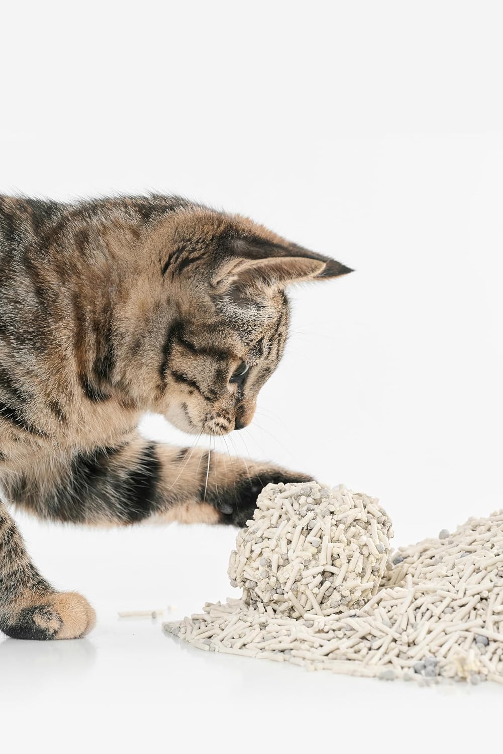 pidan Mix Cat Litter,Tofu Cat Litter with Bentonite 70%:30%,Absorbent and Fast Drying,Flushable Tofu Litter,Selected Quality Pea Dregs,5-Fold Water Absorption,Strong Clumping(5.3lbx4bags) - Image 12