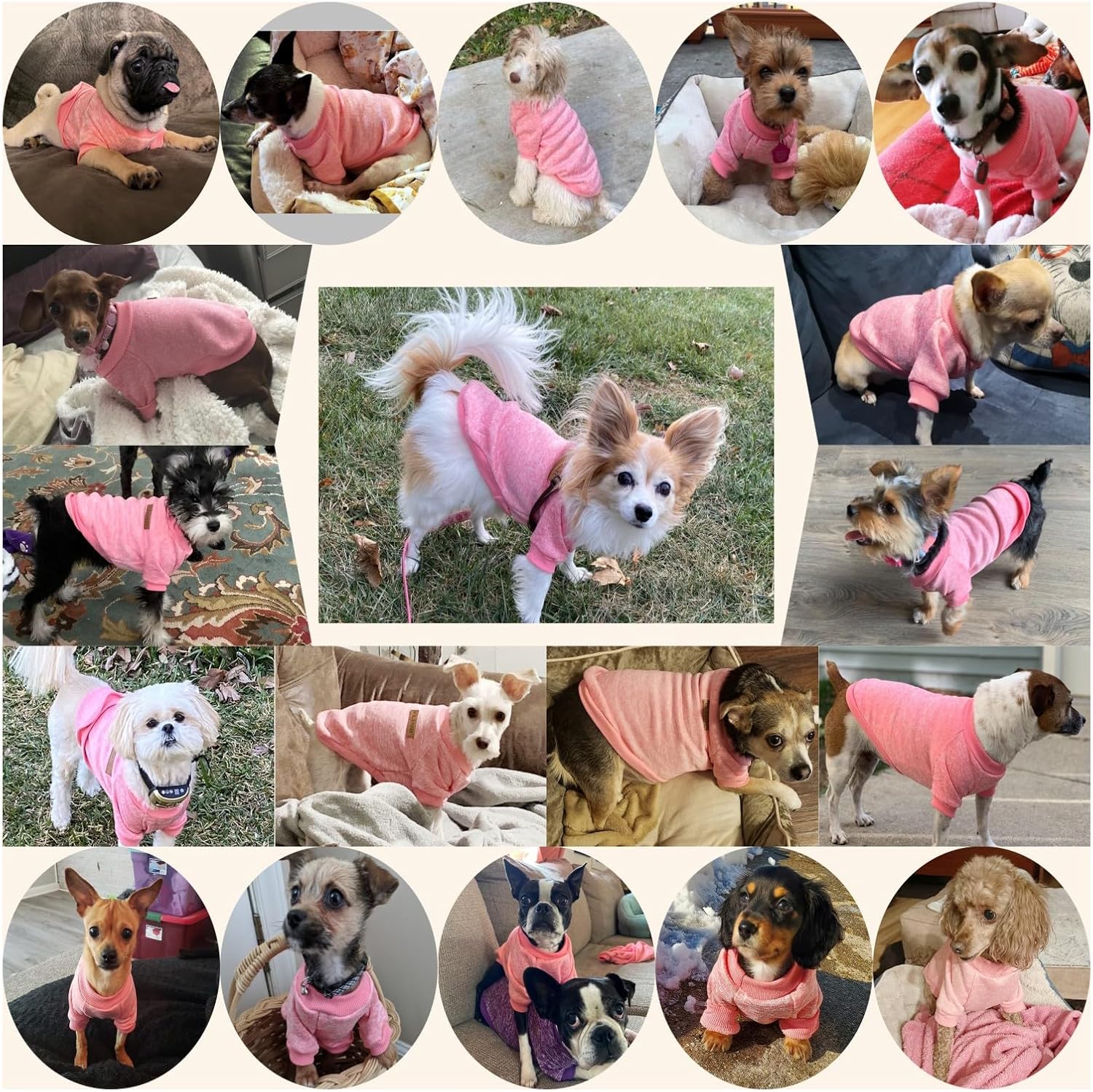 Jecikelon pet winter sweater small size clothing texture close up