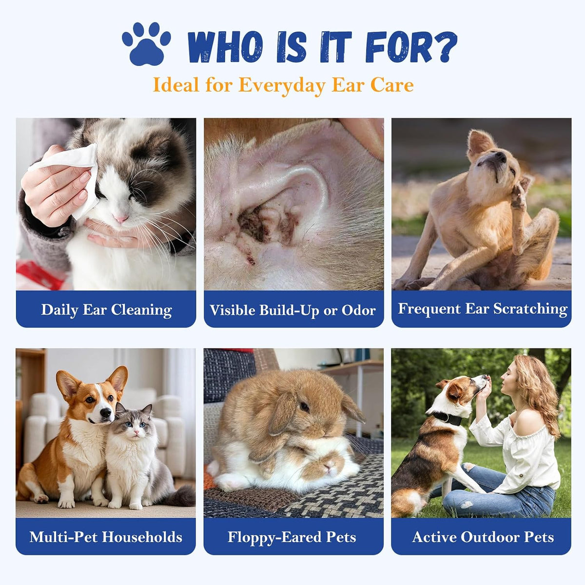 Detailed label of Giftmissu ear wash for pets