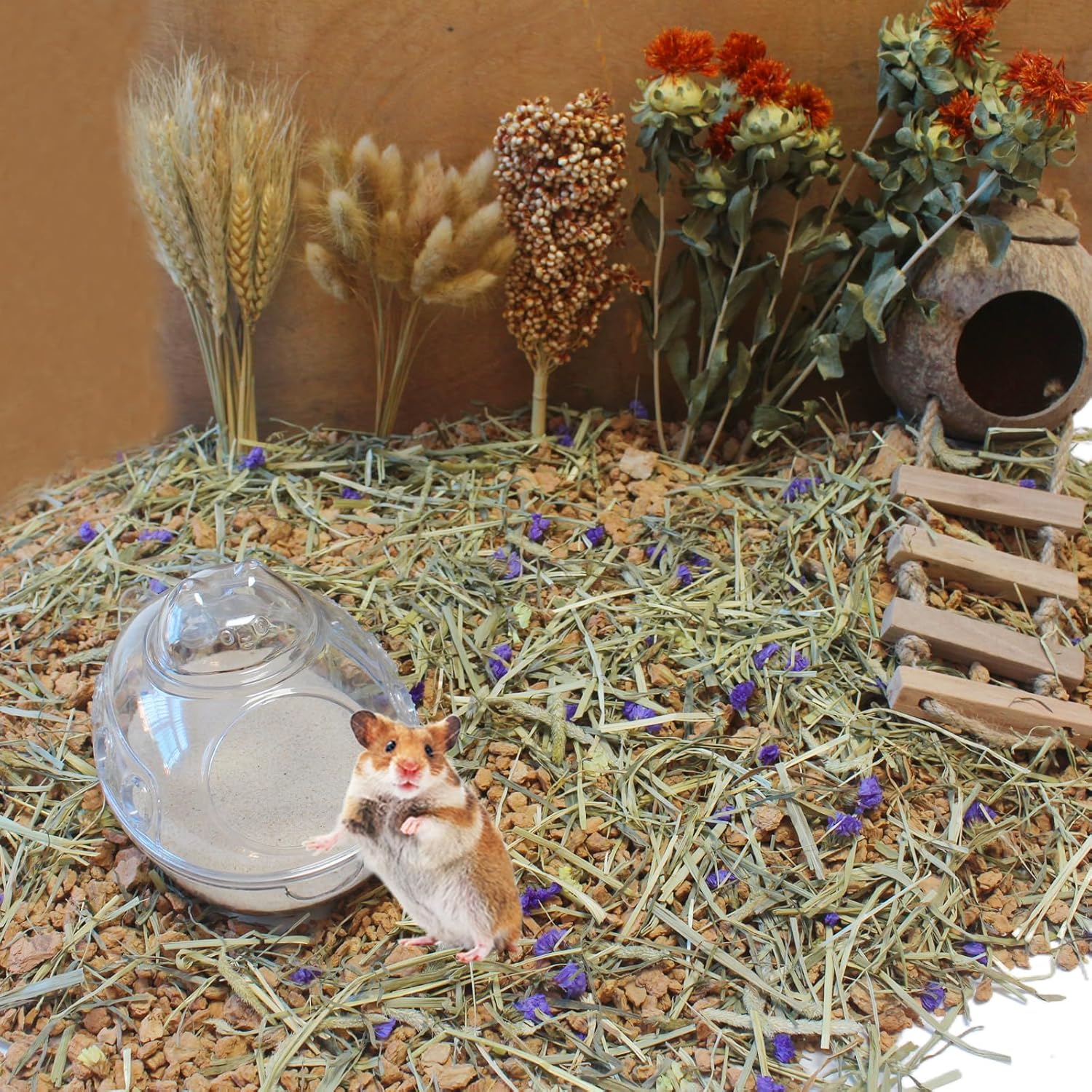 Jfwod hamster sand packaging details and weight