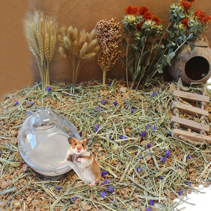 Jfwod hamster sand packaging details and weight