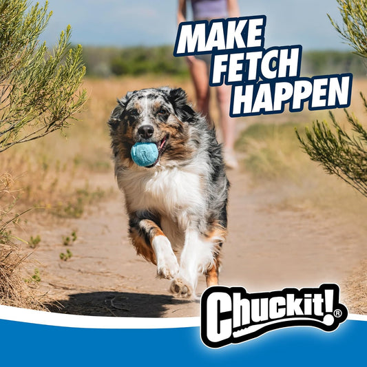 Chuckit! Rebounce blue and orange rubber fetch ball