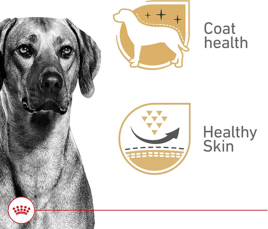 Royal Canin adult wet dog food can showing skin and coat health formula benefits