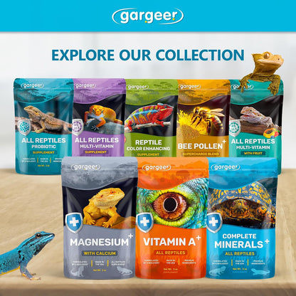 Gargeer supplement container beside a bearded dragon