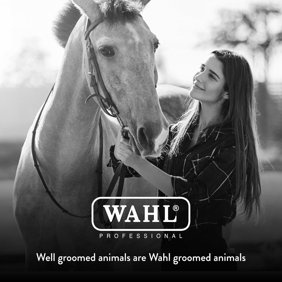 Wahl horse grooming brush close up of bristles