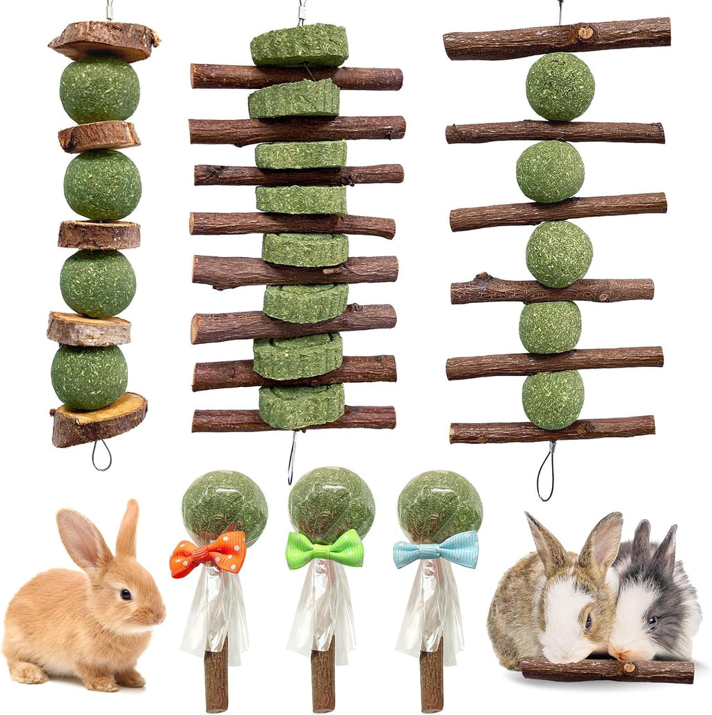 Authentic Jorewood imported rabbit cage accessory complete set