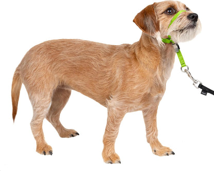 PetSafe Gentle Leader No-Pull Dog Headcollar - The Ultimate Solution to Pulling - Redirects Your Dog's Pulling for Easier Walks - Helps You Regain Control - Medium, Black - Image 14
