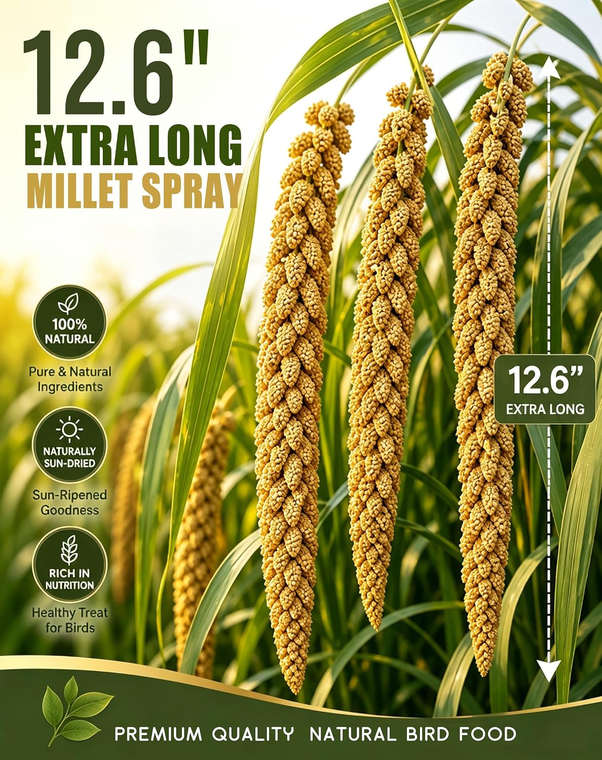 Natural sun-dried millet spray stems for pet birds