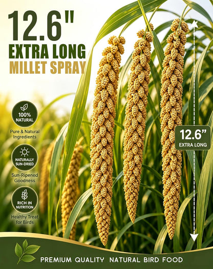 Natural sun-dried millet spray stems for pet birds