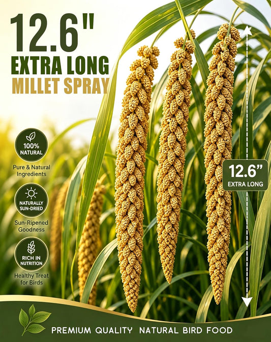 Natural sun-dried millet spray stems for pet birds