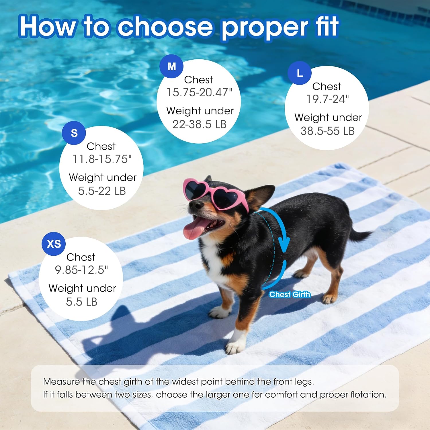 Durable ripstop dog safety swimsuit designed for swimming pool and boating activities.